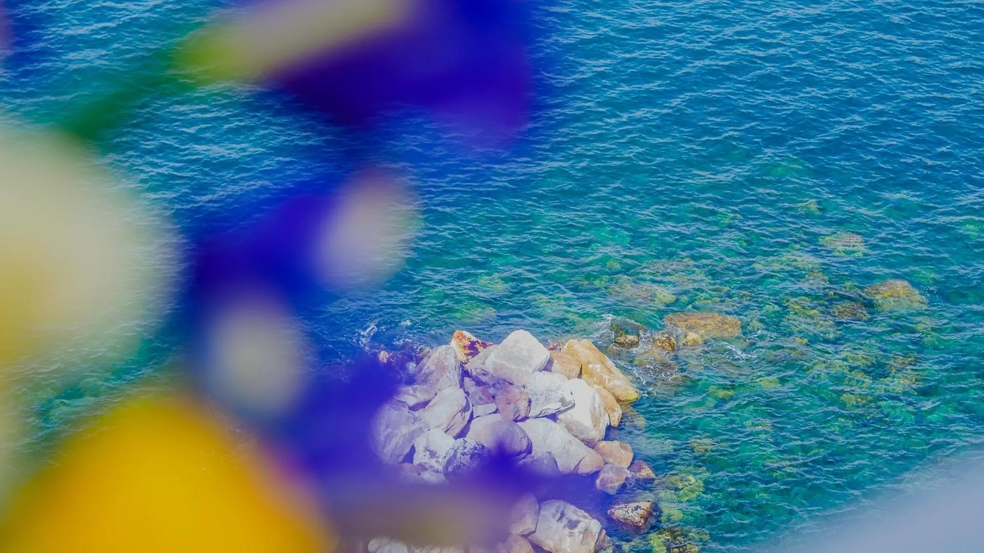 La Lampara Sea View Terrace Apartment Manarola