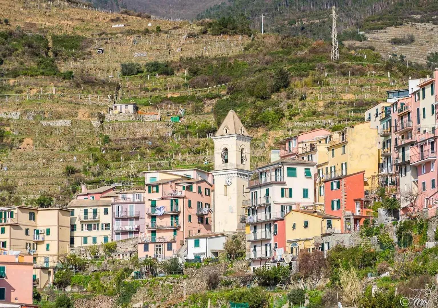 La Lampara Sea View Terrace Apartment Manarola